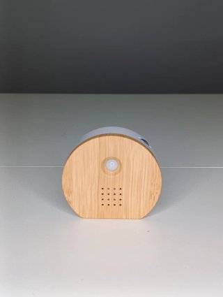 Caja de sonidos de naturaleza