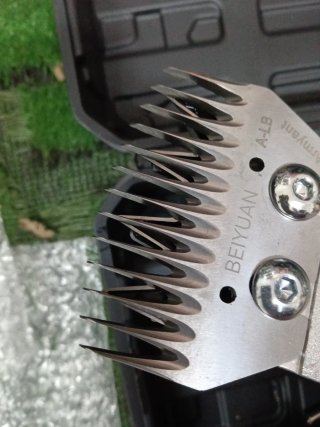 Tosa pecora elettrica 68V doppia batteria