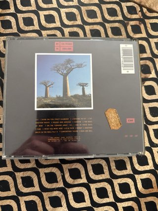 Pink Floyd - 2CDs Delicate Sound of Thunder