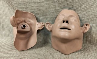 maniqui facial  prácticas médicas LOTE 45€
