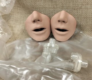 maniqui facial  prácticas médicas LOTE 45€