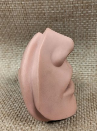 maniqui facial  prácticas médicas LOTE 45€