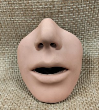 maniqui facial  prácticas médicas LOTE 45€