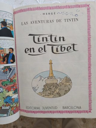 Tintin