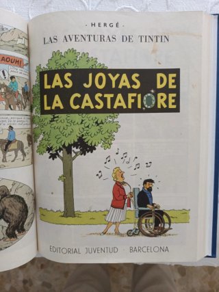 Tintin