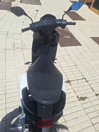 Piaggio Typhoon 50 ciclomotor