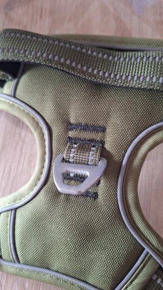 Pettorina cane verde militare tg S