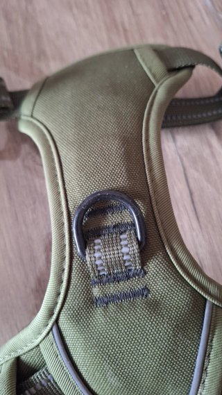 Pettorina cane verde militare tg S