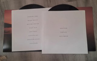 Nick Cave & The Bad Seeds - 2 vinilos