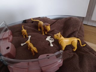 Playmobil Familia Leones Zoo