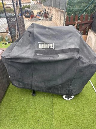 Barbacoa Weber Genesis Silver