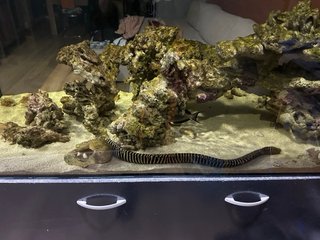 Acuario 180x60x80 Domotizado sin peces
