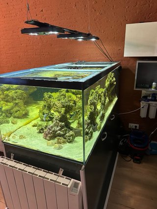 Acuario 180x60x80 Domotizado sin peces