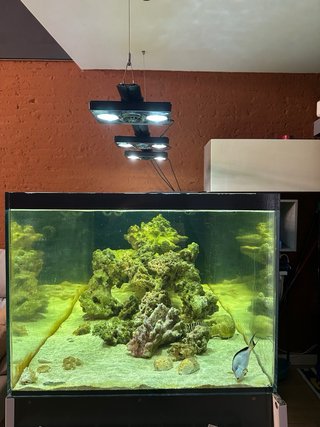 Acuario 180x60x80 Domotizado sin peces