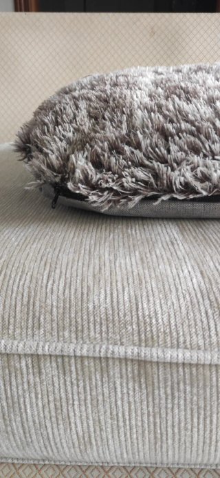 Lettino per cani
