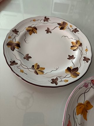 Coppia piatti Herend decorati