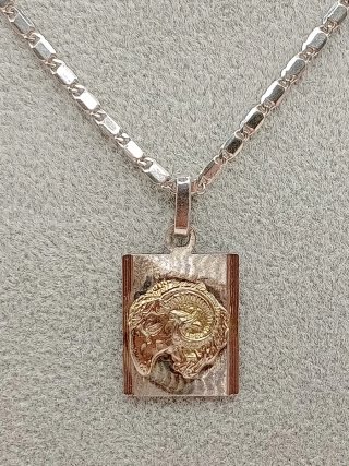 Collana uomo medaglietta ariete argento 925 oro