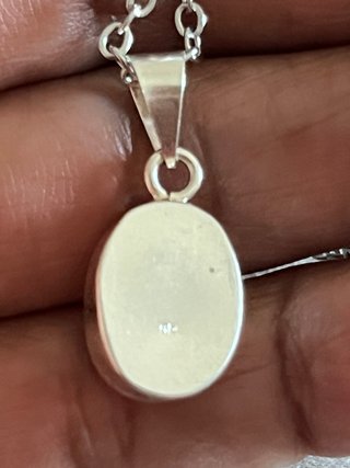 Colgante Huayruro Plata