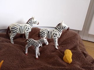 Playmobil Cebras Zoo