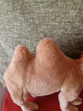 Peluche Cammello Morbido
