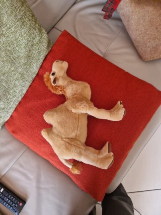 Peluche Cammello Morbido