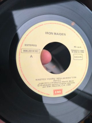 Disco de vinilo Iron Maiden - Wasted Years