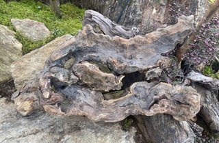 Madera de río natural