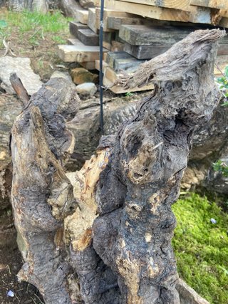 Madera de río natural