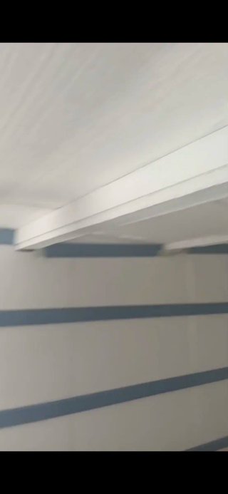 Pintor económico