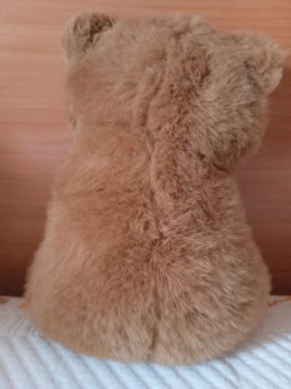 Peluche Oso Grande con Bebé