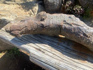 Madera natural de río