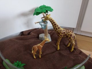 Playmobil Zoo Jirafas