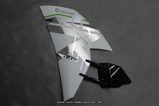 Oferta especial Carenado KAWASAKI NINJA H2 1000 16