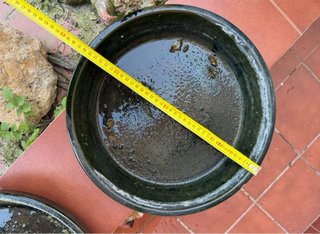 Macetero + plato grande cerámica verde oscuro