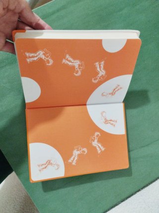 Libro Clementina