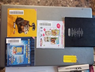 Lote Nintendo DS....hago envios