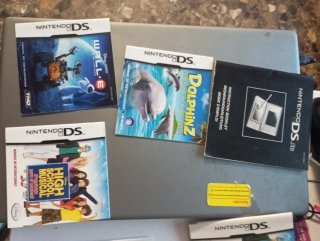 Lote Nintendo DS....hago envios