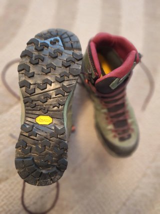Botas Salewa Alp Trainer Mid GTX