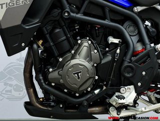 TRIUMPH TIGER 900 GT PRO -A2-