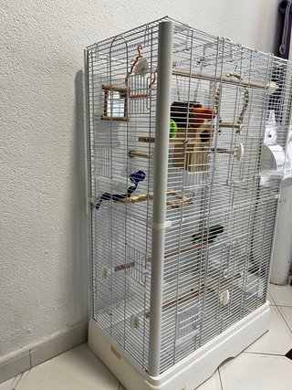 Jaula para pájaros