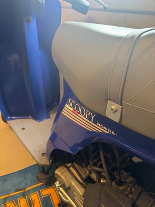 Honda Scoopy 75 Azul/Gris