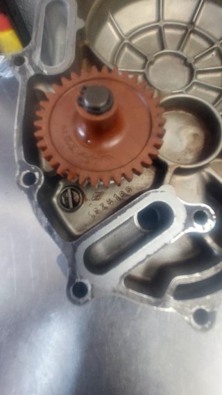 Tapa motor V-Strom 650 2007