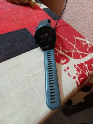 Reloj Garmin Forerunner 155 Gris