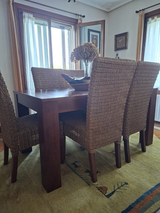 Tavolo da pranzo in legno massello e sedie in fibra