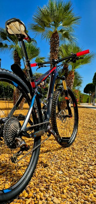 Mountain bike a sospensione completa 29" in carbonio