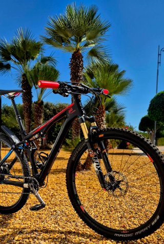 Mountain bike a sospensione completa 29" in carbonio