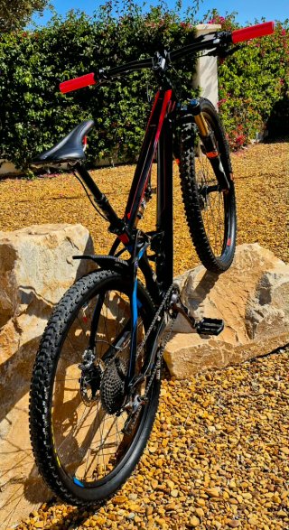Mountain bike a sospensione completa 29" in carbonio