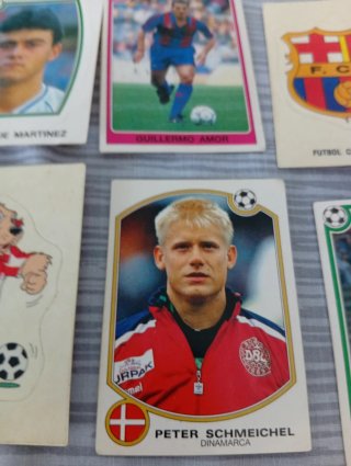 Cromos Panini 92-93 Variados