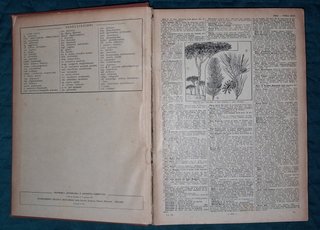 Nuova Enciclopedia Sonzogno 3 volumi