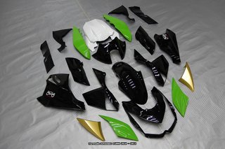 Oferta especial Carenado KAWASAKI Z-1000 2010 2013